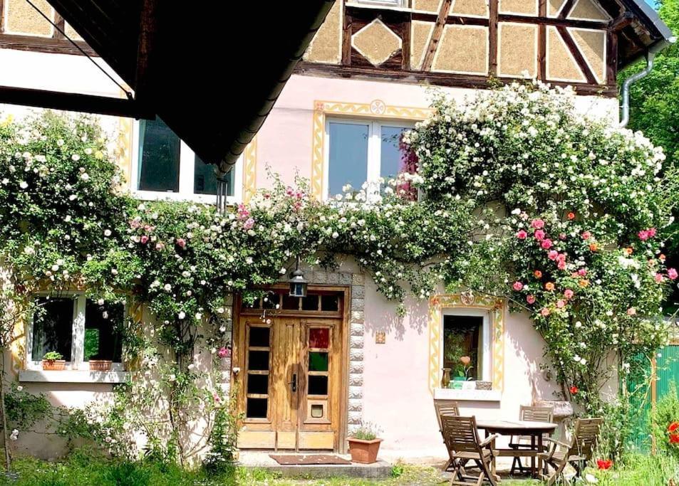 Kleine Kunstremise Mit Holzofen Burg Freienfels Lejlighed Weinbach Eksteriør billede